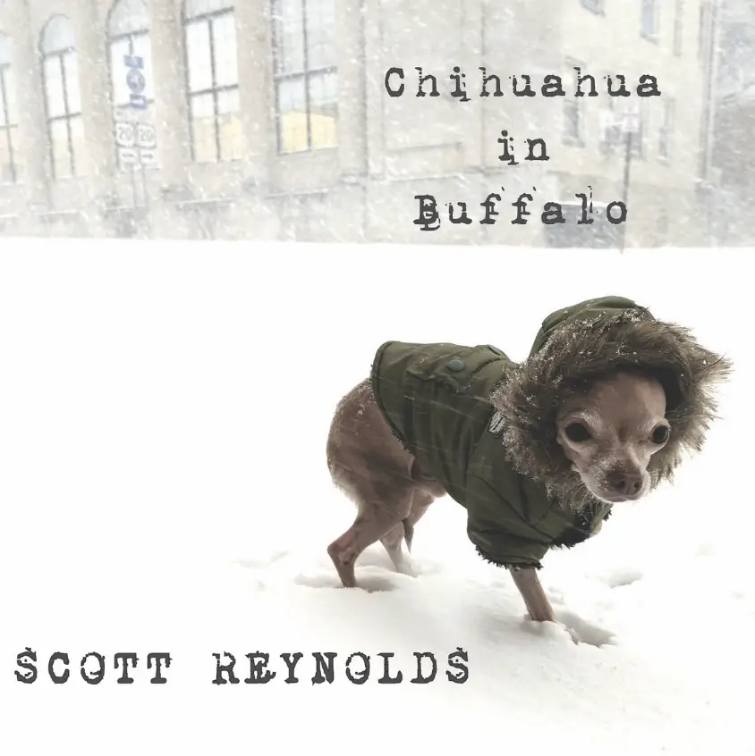 New Music Review: Scott Reynolds’ Chihuahua in Buffalo